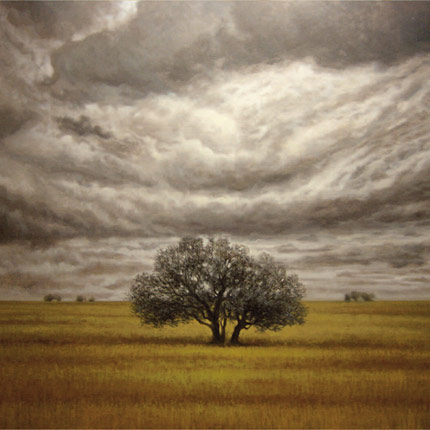 100x81
