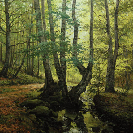 55x46